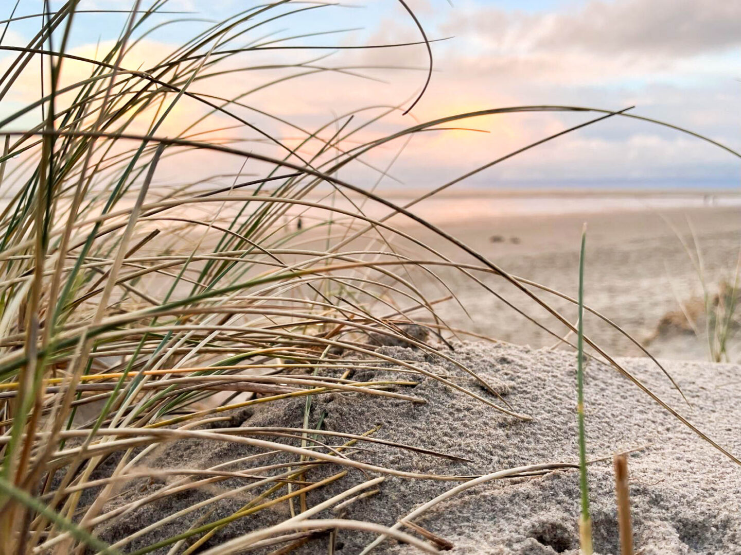 Texel Adventures