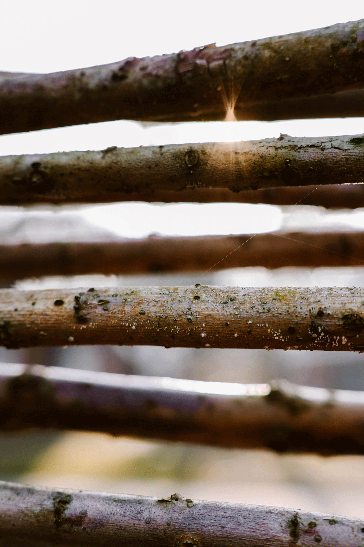 Overnachten in Rolde