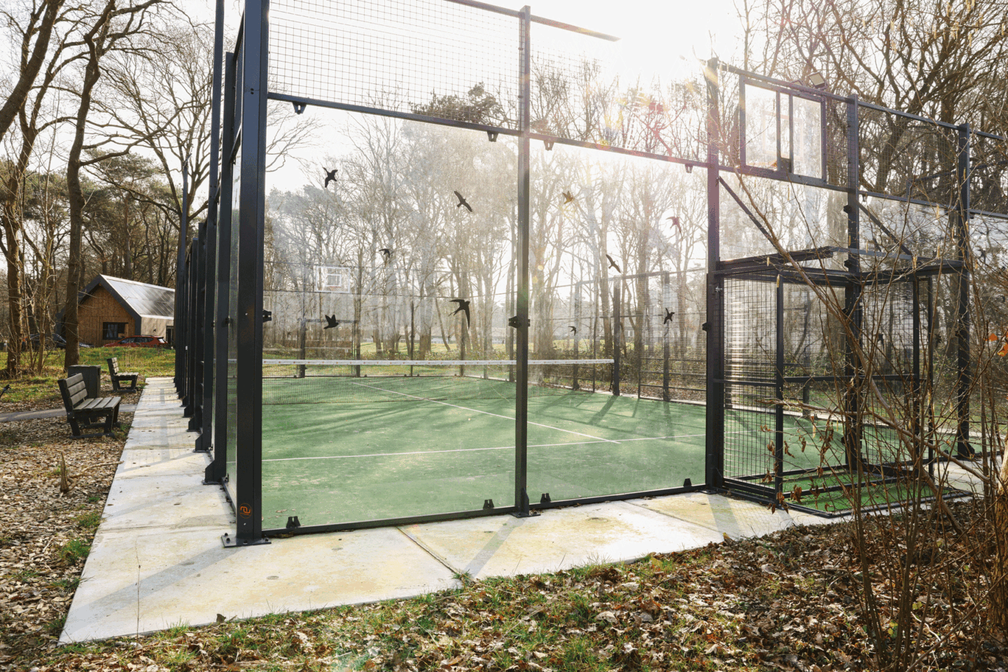 Vakantiepark met padelbaan in Drenthe