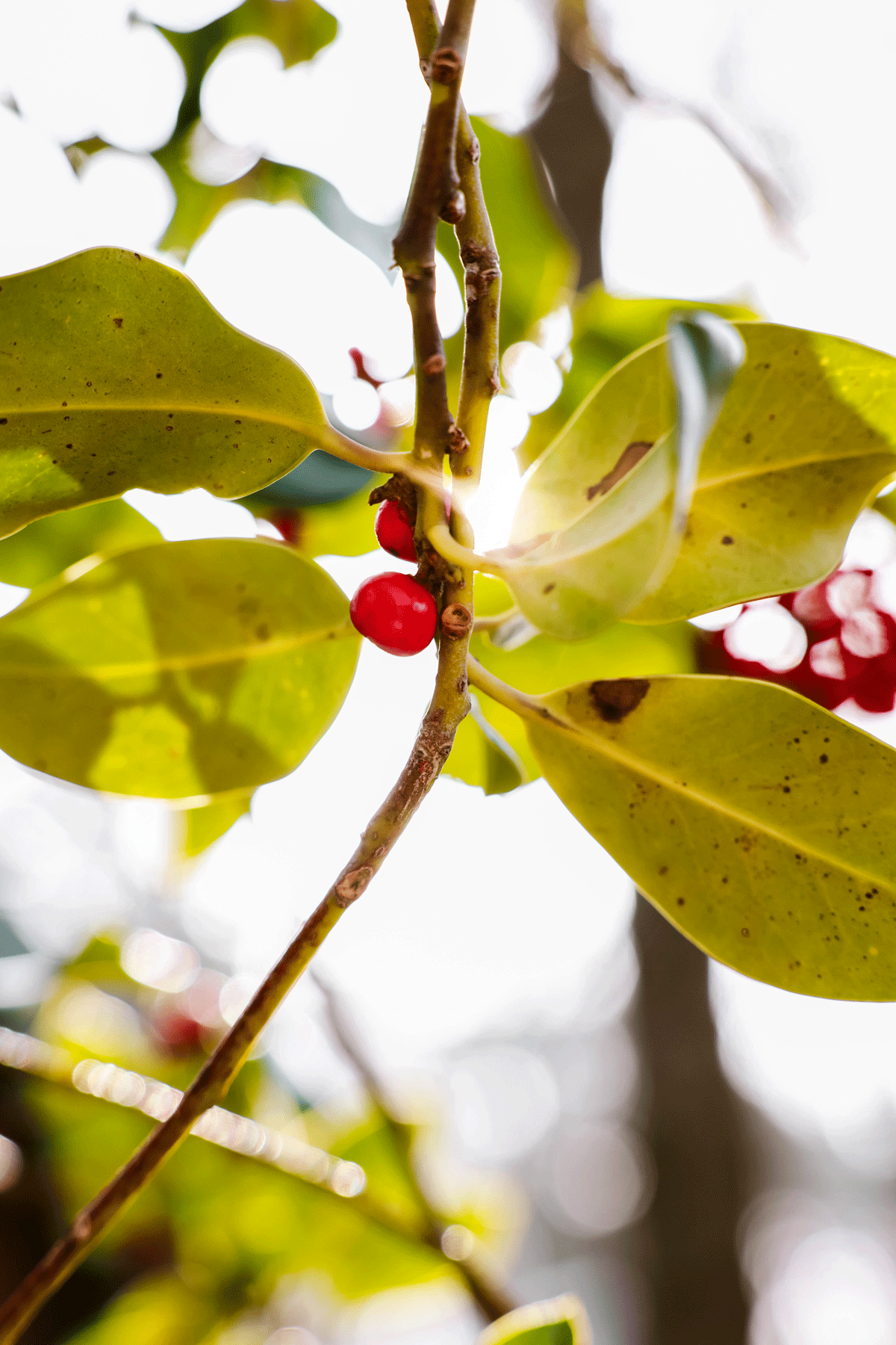 Weekend weg in Drenthe
