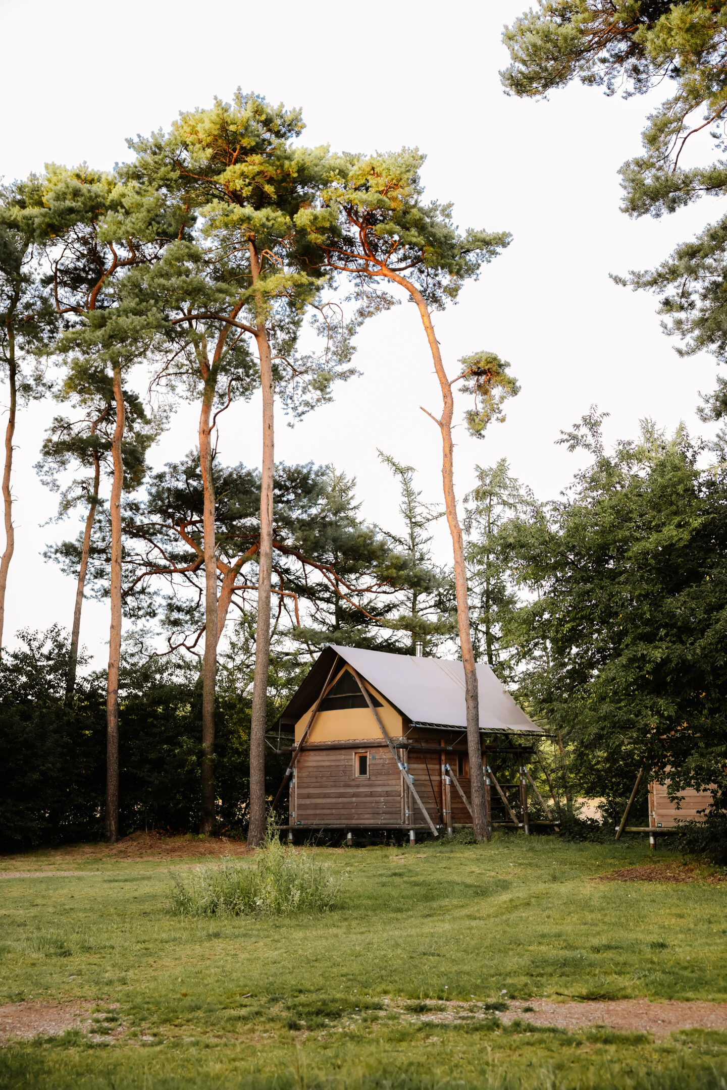 Natuurcamping Limburg